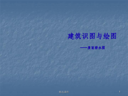 屋面排水图(1)