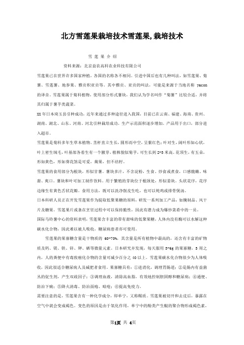 北方雪莲果栽培技术雪莲果,栽培技术