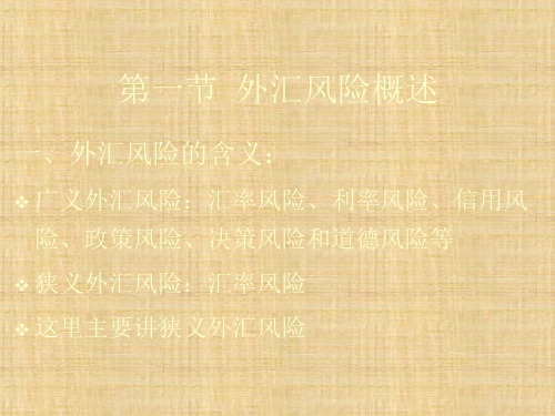 第六章  外汇风险与防范实务  《国际金融概论(第三版)》ppt课件