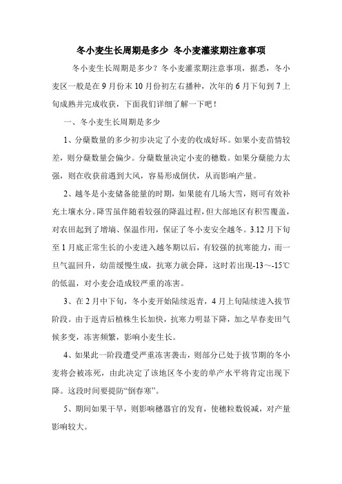 冬小麦生长周期是多少 冬小麦灌浆期注意事项.doc
