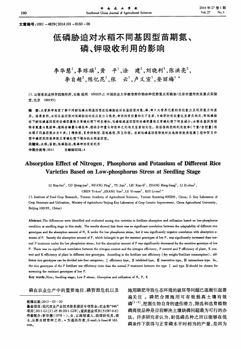 低磷胁迫对水稻不同基因型苗期氮、磷、钾吸收利用的影响