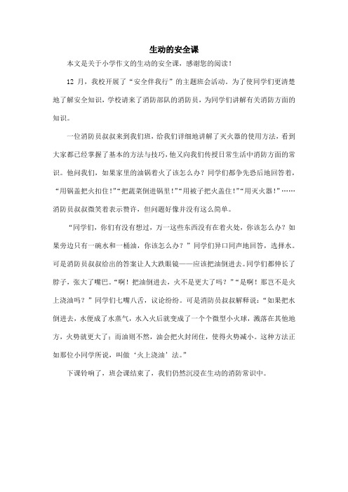 生动的安全课_小学作文