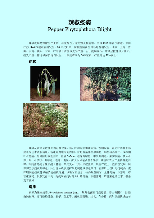 辣椒疫病