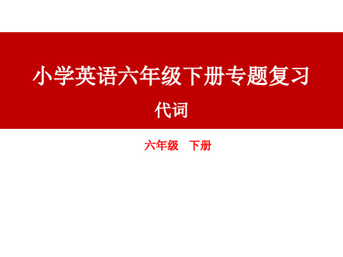 小学英语六年级下册专题复习——代词(课件)