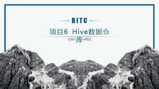 项目6 Hive数据仓库-任务6.1 Hive概述