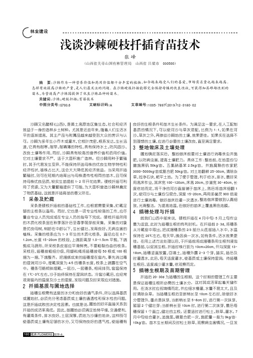 浅谈沙棘硬枝扦插育苗技术