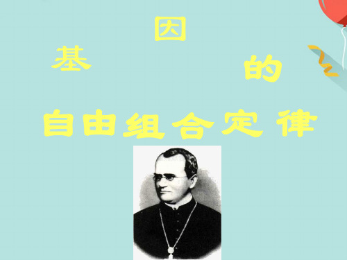 基因的自由定律组合实用PPT资料
