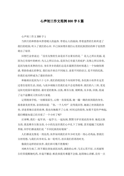 心声初三作文范例800字5篇