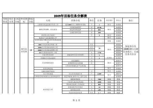 2009年目标任务分解表
