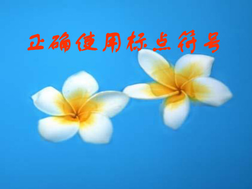 正确使用标点符号