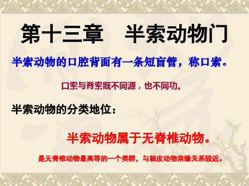 第13章 半索动物门
