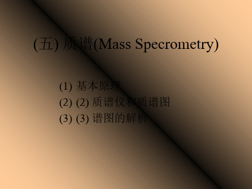 五质谱MassSpecrometry
