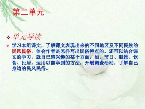 《北京的春节》PPT课件
