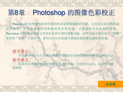 PhotoshopCS中文版10