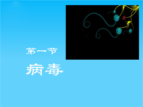 七年级生物上册 第六章第一节病毒1课件 济南版