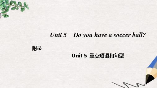 2019-2020七年级英语上册Unit5Doyouhaveasoccerball重点短语和句型课件新版人教新目标版