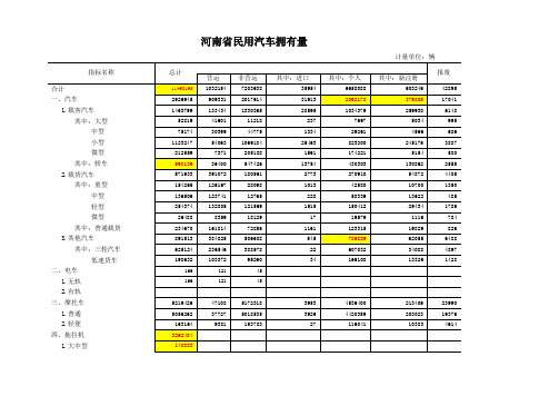 河南省18地市汽车市场数据库