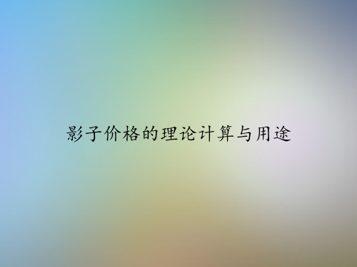 影子价格的理论计算与用途