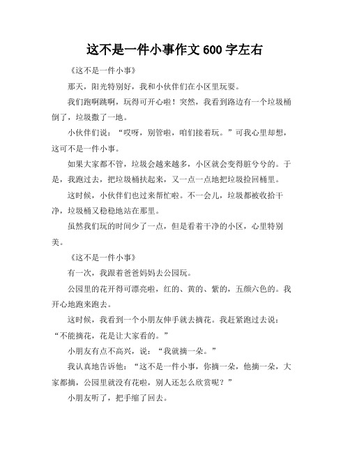 这不是一件小事作文600字左右