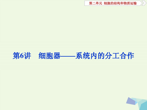 全国2018版高考生物大一轮复习第二单元细胞的结构和物质运输第6讲细胞器__系统内的分工合作课件-文
