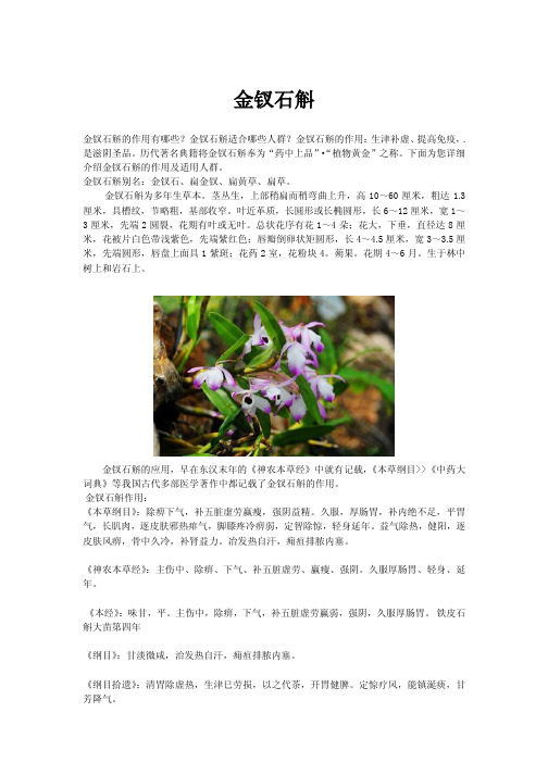 金钗石斛