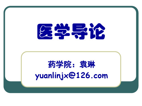 人体四大基本组织.