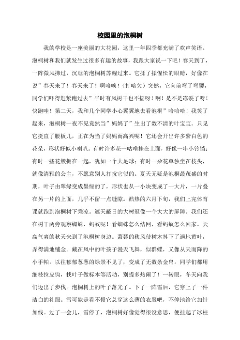 校园里的泡桐树