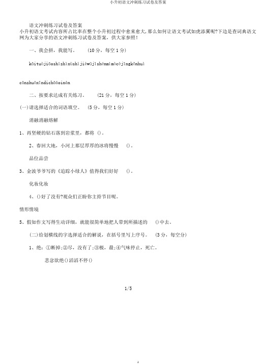 小升初语文冲刺练习试卷及答案