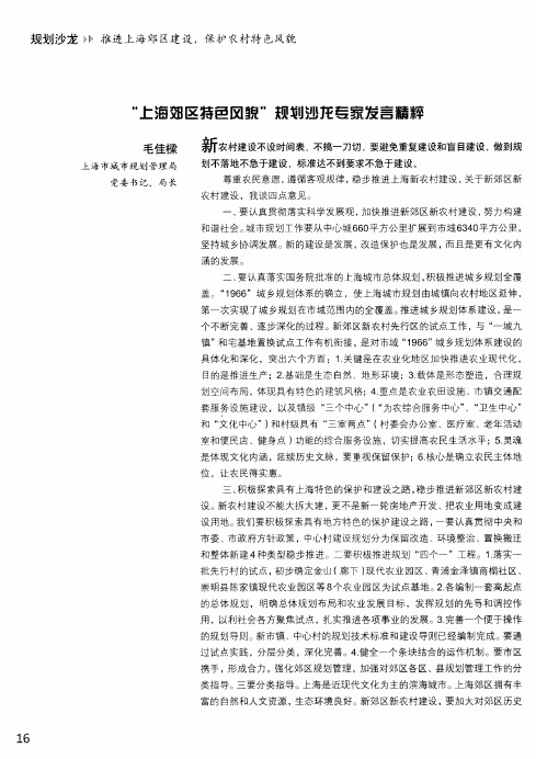 上海郊区特色风貌规划沙龙专家发言精粹