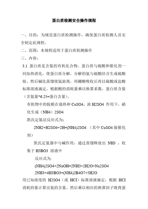 蛋白质检测安全操作规程