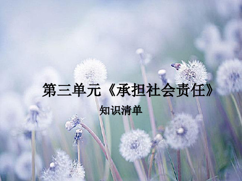 承担社会责任中小学PPT教学课件