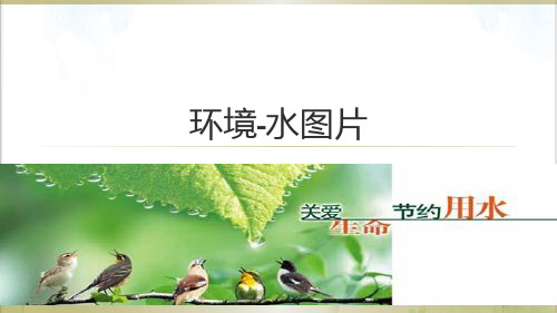 【人教版】高中化学选修保护生存环境《爱护水资源》优秀PPT共含课前播放课件