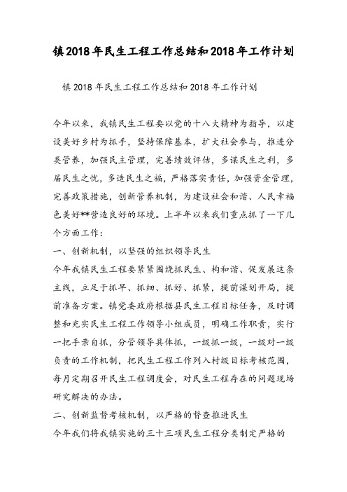 镇2018年民生工程工作总结和2018年工作计划-精选范文