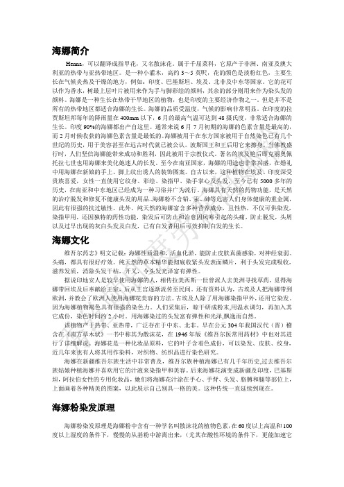 海娜简介 基本要素