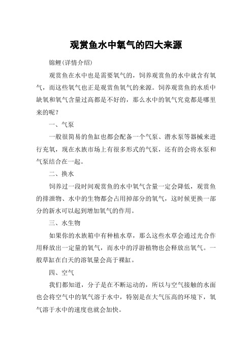 观赏鱼水中氧气的四大来源