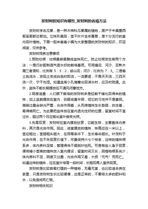 发财树的知识有哪些_发财树的养殖方法