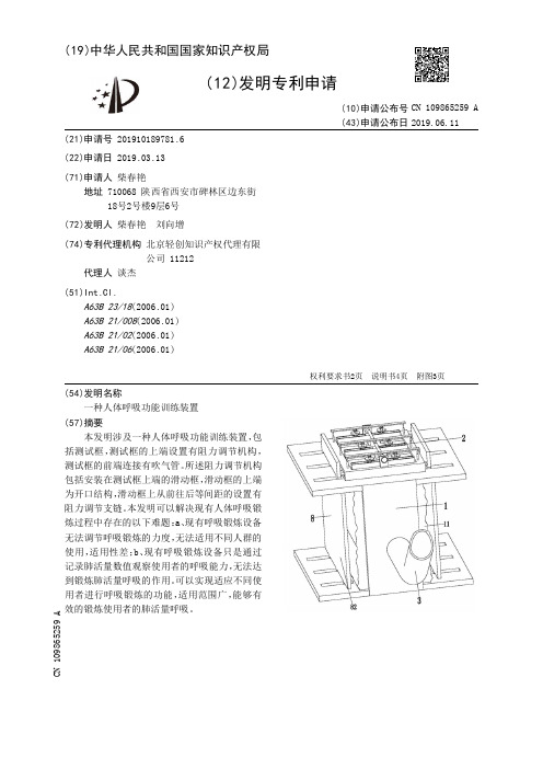 【CN109865259A】一种人体呼吸功能训练装置【专利】