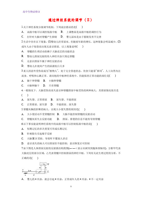 高中生物必修3课时作业11：2.1通过神经系统的调节(Ⅱ)