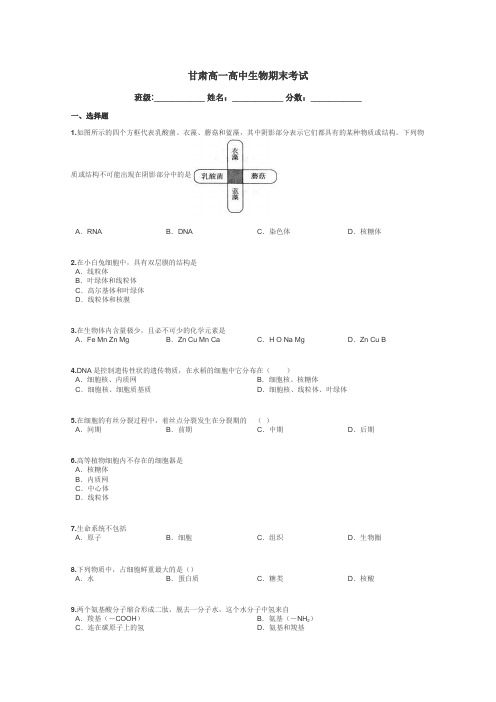 甘肃高一高中生物期末考试带答案解析
