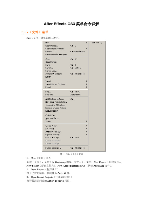 AE菜单命令