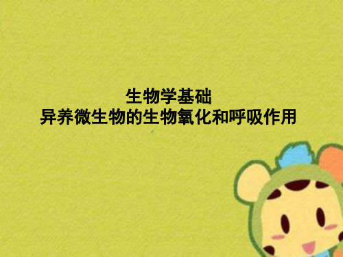 生物学基础异养微生物的生物氧化和呼吸作用