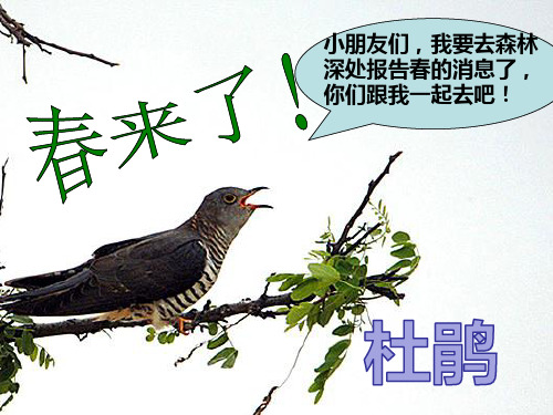 人音版三年级下册音乐第3课《顽皮的杜鹃》课件