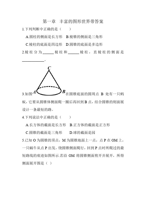 第一章丰富的图形世界带答案