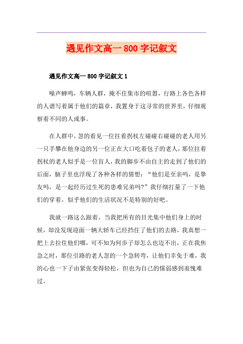遇见作文高一800字记叙文