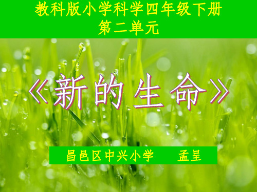 教科版小学科学四年级第二单元第二课各种各样的花,精品课件,网课公开课专用!