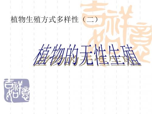 【初中生物】植物的无性生殖PPT课件3