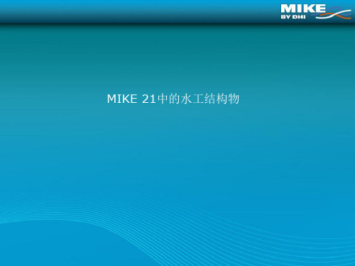 MIKE 21中的水工构筑物