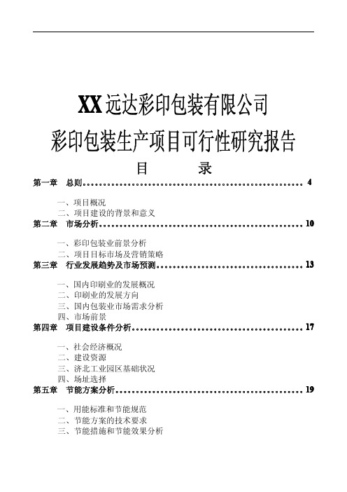 彩印包装生产项目可行性研究报告
