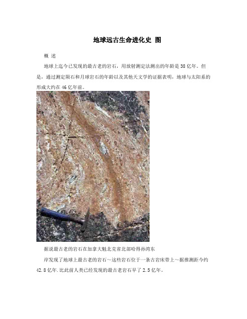地球远古生命进化史图