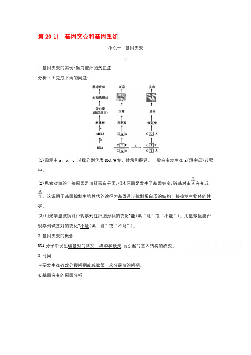 2021高考生物一轮复习新人教版教案：第7单元